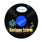 logo Gavilanes Stereo