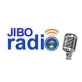 Jibo Radio